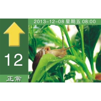 可選彩晶顯示 A03