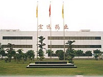 廣（guǎng）東宏遠集團藥業有限公司